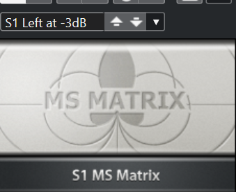 S1 MS Matrix