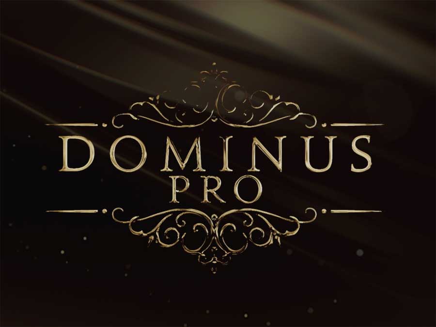 Fluffy Audio Dominus Choir Pro