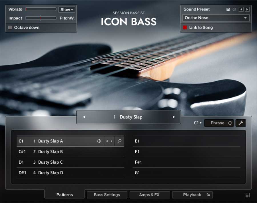 Native Instruments Session Bassist Icon Bass