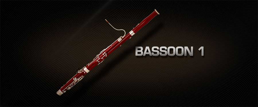 Vienna Symphonic Library Bassoon 1