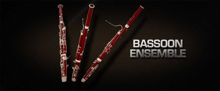 Vienna Symphonic Library Bassoon Ensemble