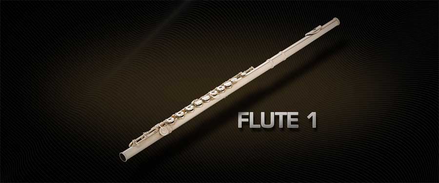 Vienna Symphonic Library Flute 1