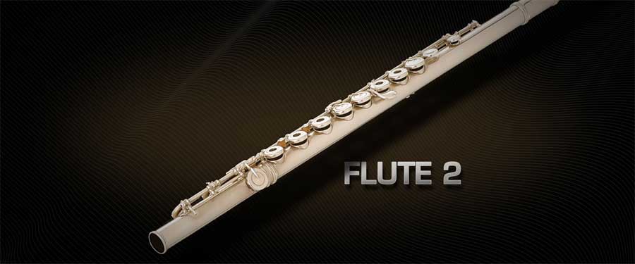 Vienna Symphonic Library Flute 2