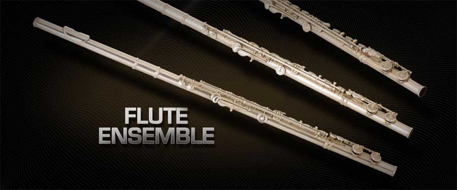 Vienna Symphonic Library Flute Ensemble