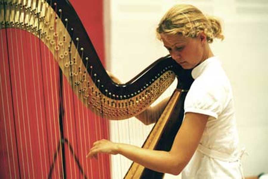 Vienna Symphonic Library Harps Ruth Rojahn