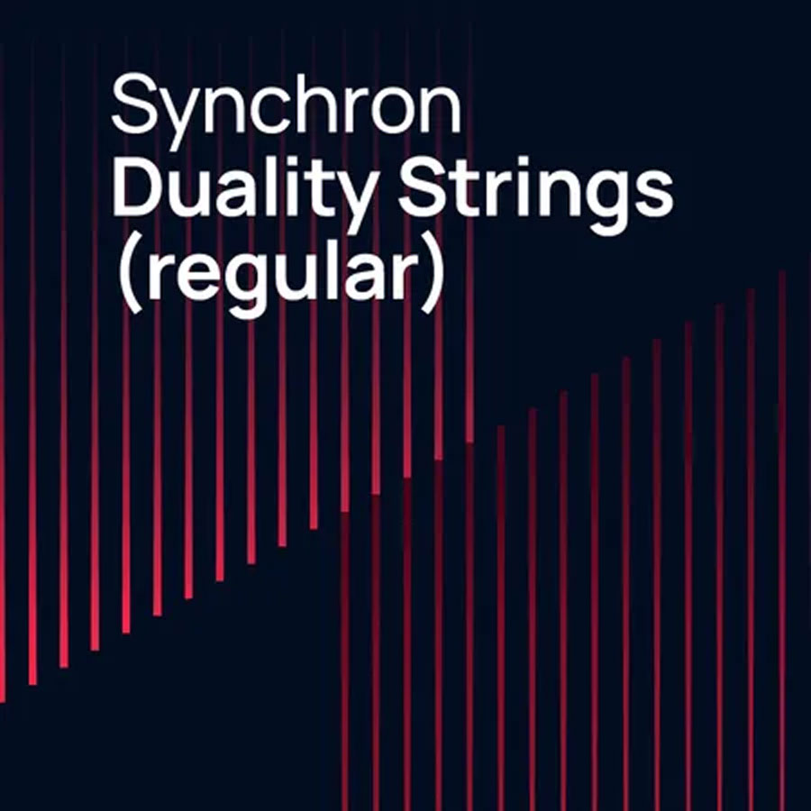 Vienna Symphonic Library Synchron Duality Strings Regular