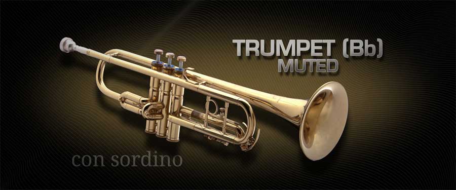 Vienna Symphonic Library Trumpet Bb muted