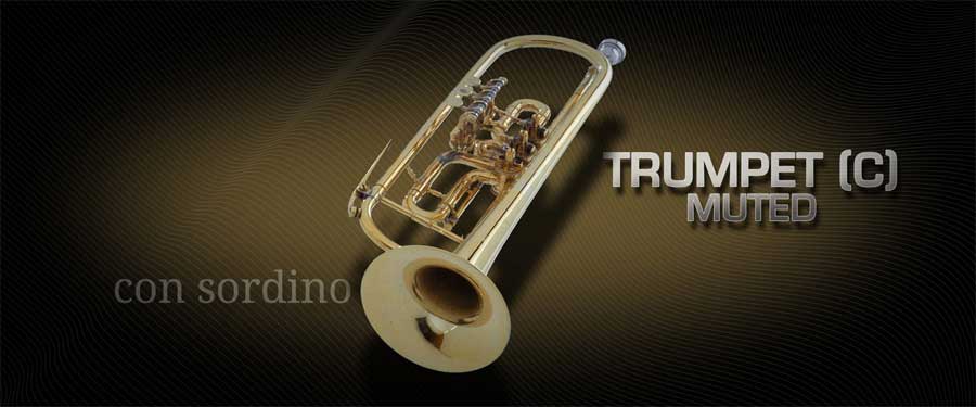 Vienna Symphonic Library Trumpet C muted