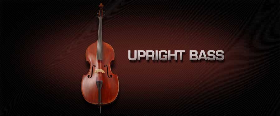 Vienna Symphonic Library Upright Bass