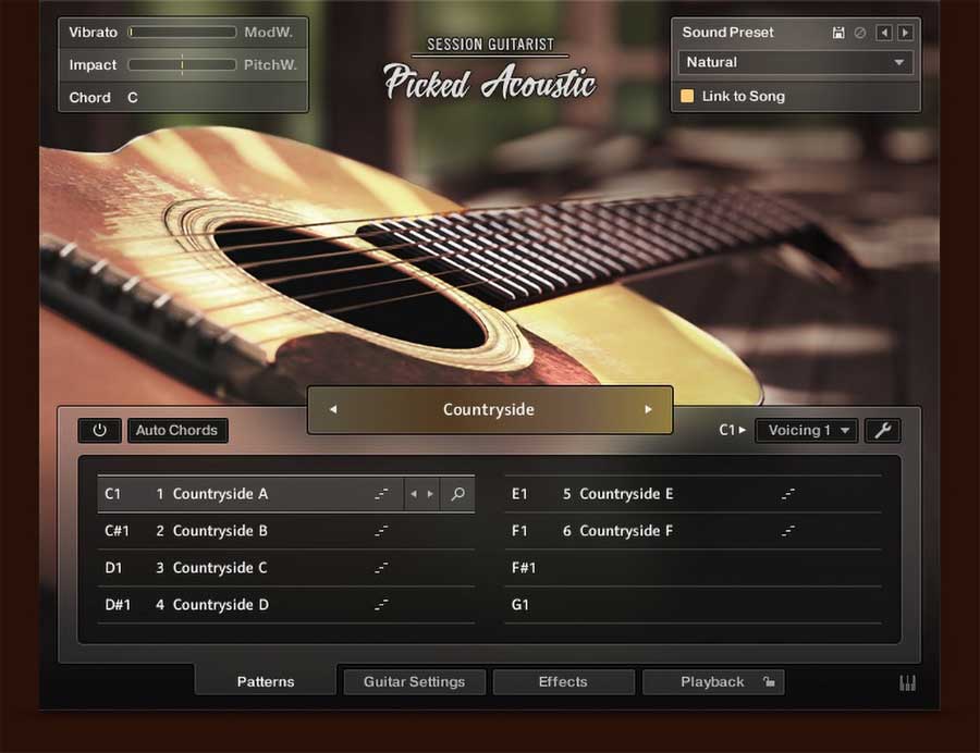 native instruments Session Guitarist Picked Acoustic